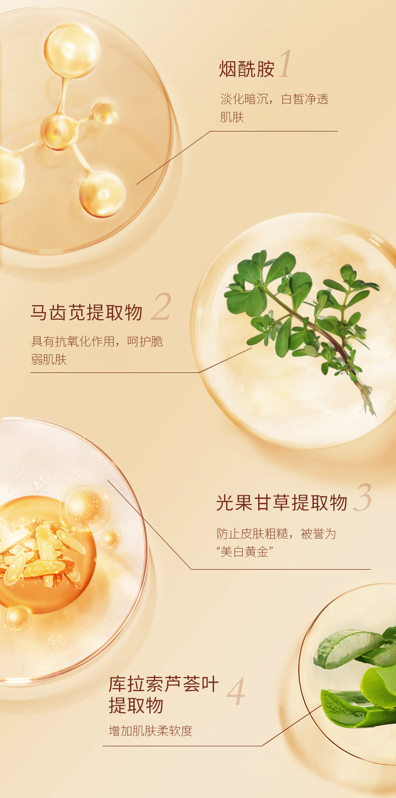 微信图片_20220623135845.jpg